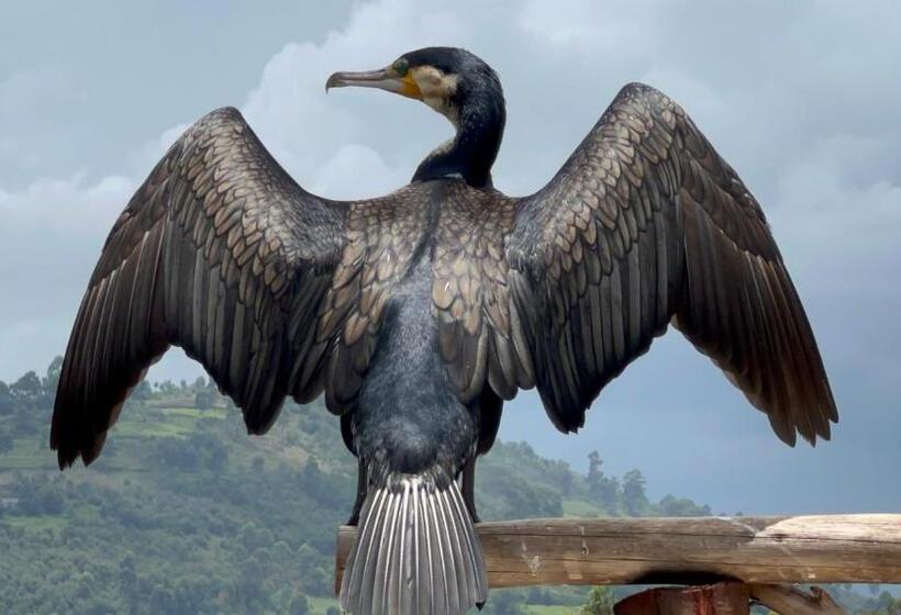 اتاق استاندارد با تخت بزرگ, Lake Bunyonyi Rock Resort