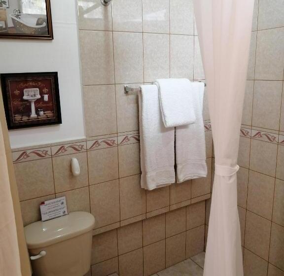 חדר סטנדרט, Novohostal B&b