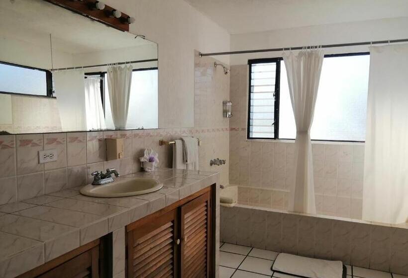 اتاق خانوادگی, Novohostal B&b