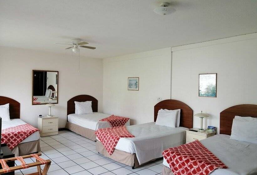 חדר סטנדרט לארבעה, Novohostal B&b