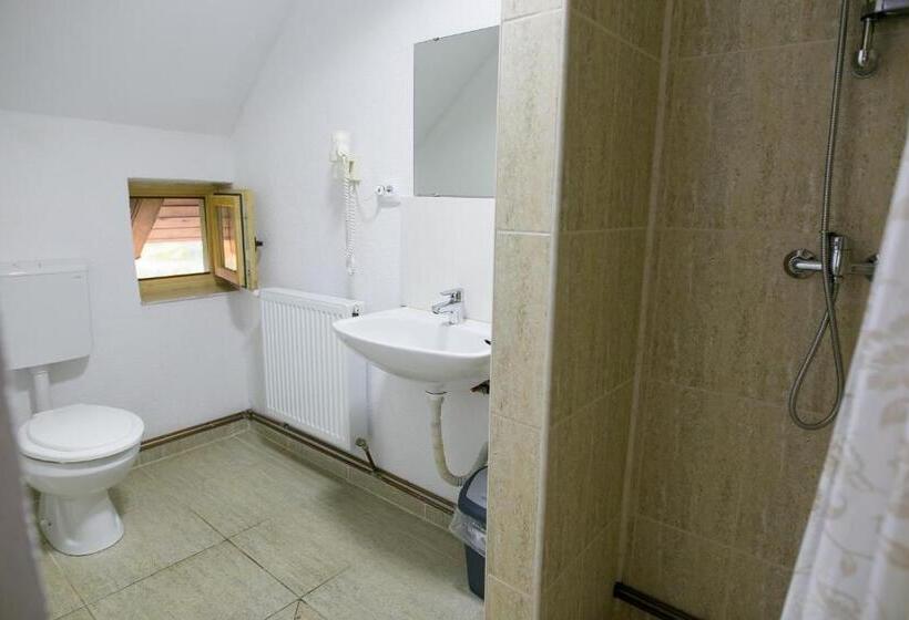 חדר סטנדרט, Aria