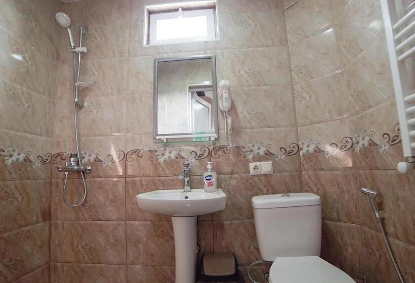 اتاق لوکس خانوادگی, Progress