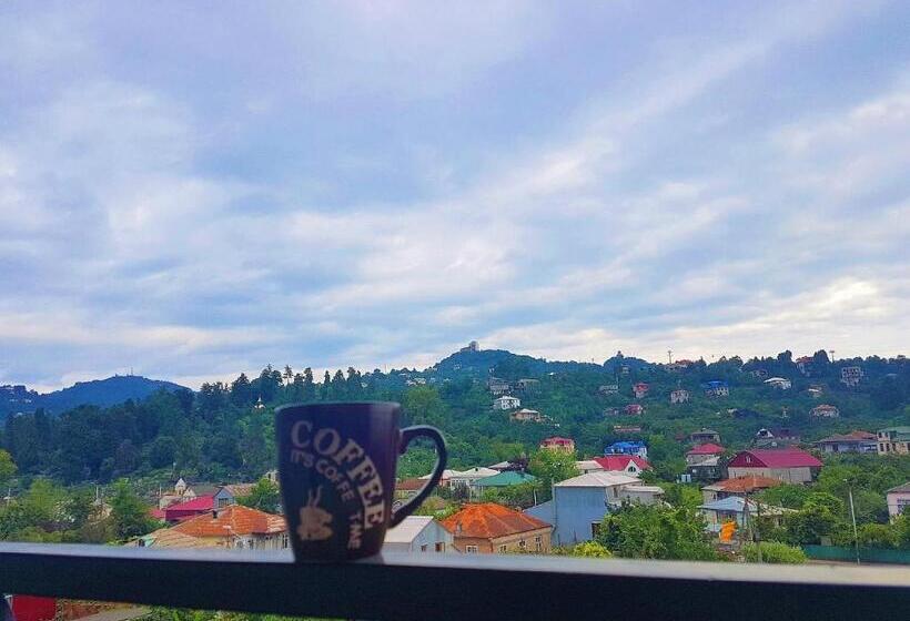 اتاق سوپریور خانوادگی, Progress