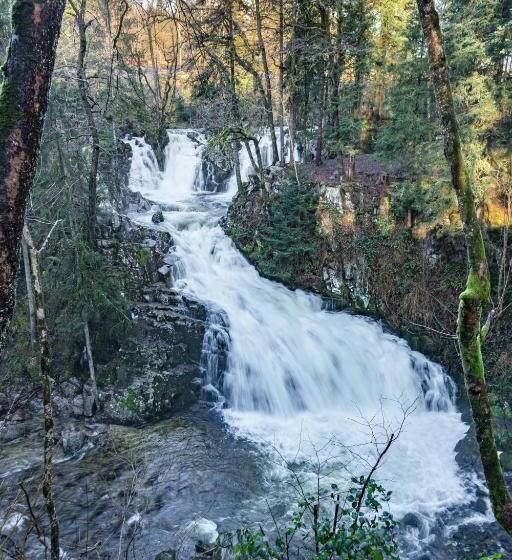 بنجلو عائلى, Gîte Domaine Des Iris