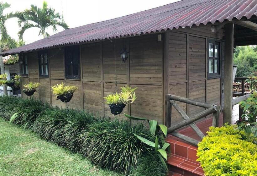 家庭间, Finca La Bella