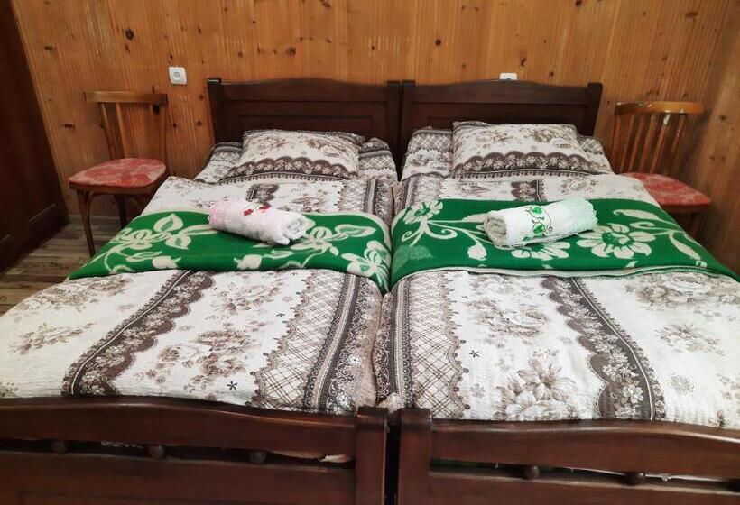 اتاق استاندارد, Guest House Pangani