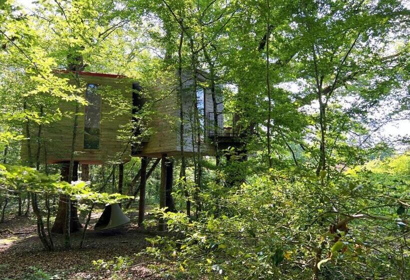 كابينة, Les Galants