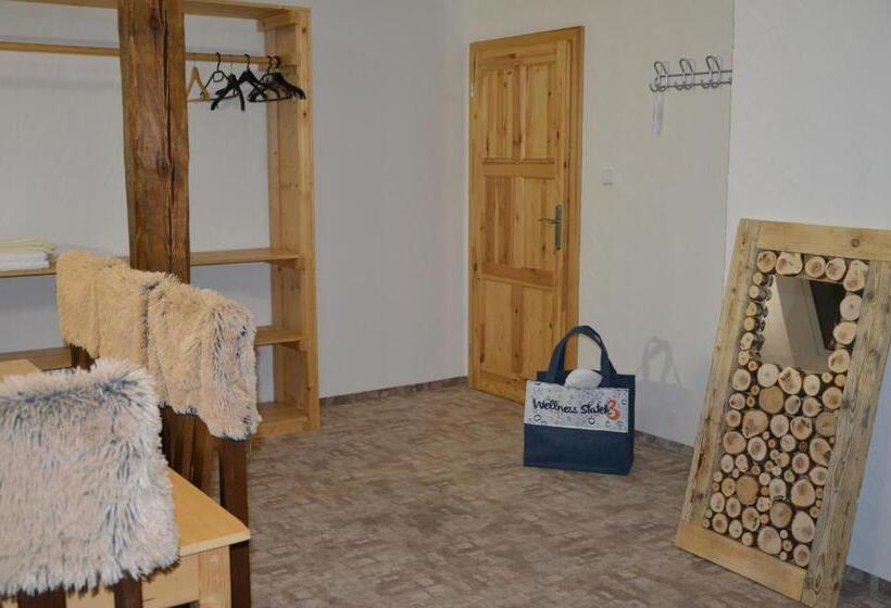 家庭间, Statek 3   Wellness & Spa