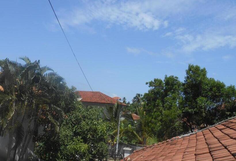 스탠다드 룸, Villa Rodrigo