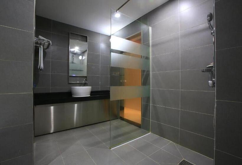 Quarto Estandar, The Ace
