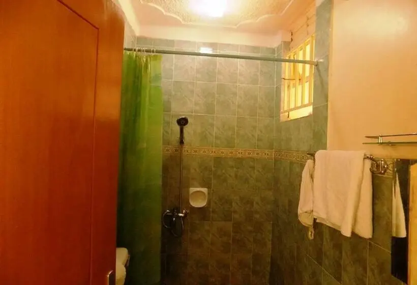 اتاق اکونومی یک تخته, Palm Springs Hotel Masaka