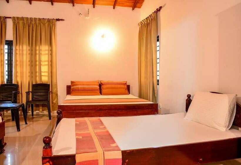 Номер Стандарт, Apollo