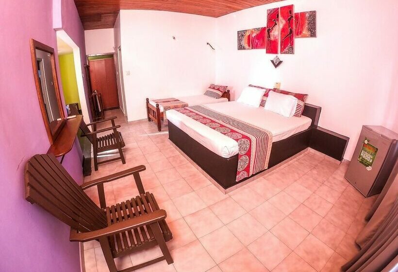 Номер Стандарт, Apollo