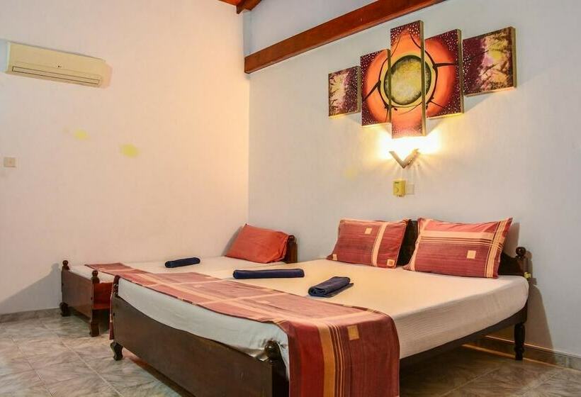 Номер Стандарт, Apollo