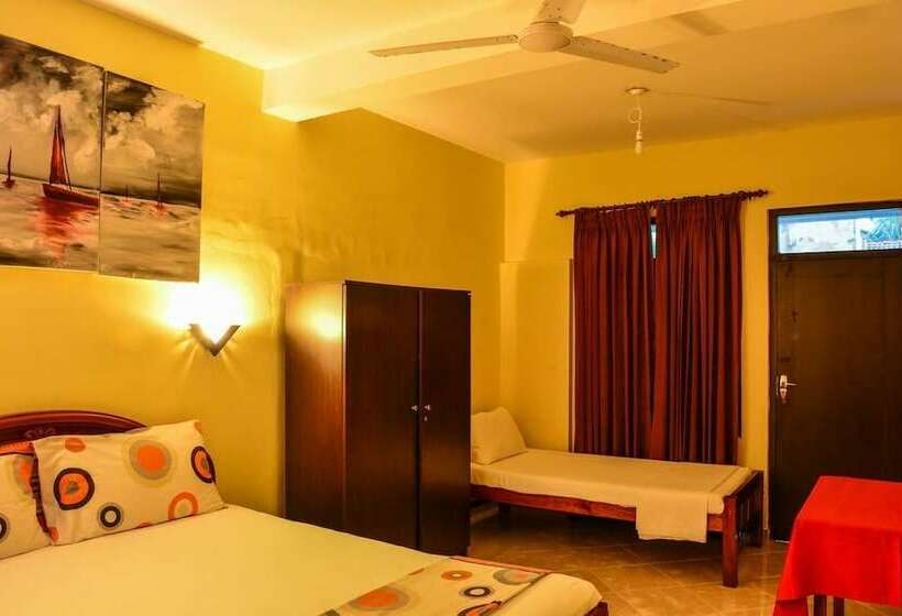 Номер Стандарт, Apollo