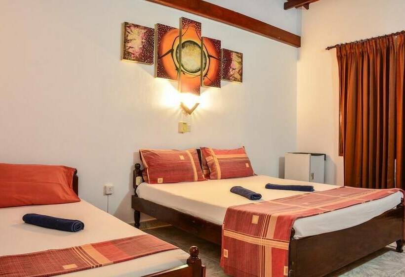 Номер Стандарт, Apollo