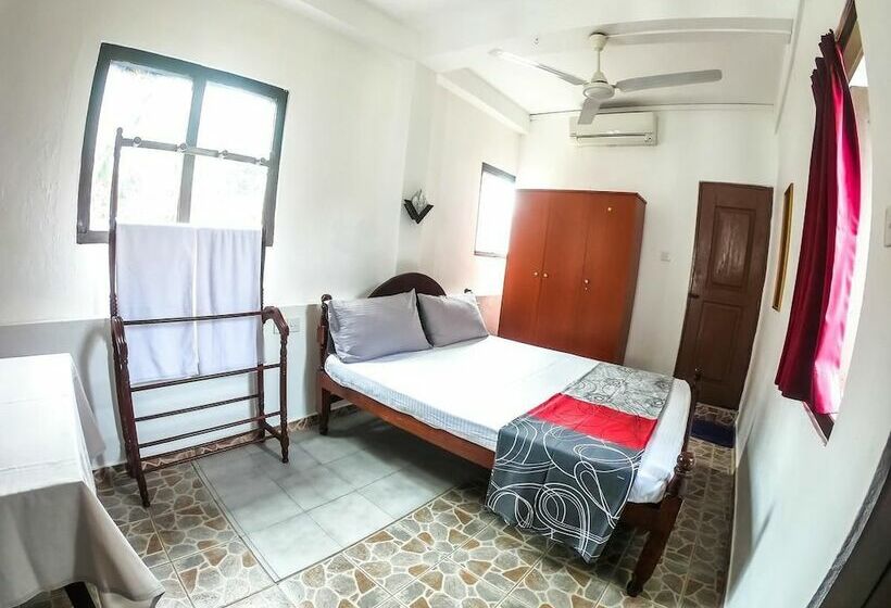 Номер Стандарт, Apollo