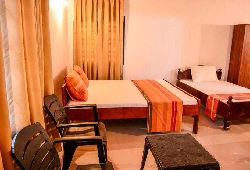 Family Suite, Apollo