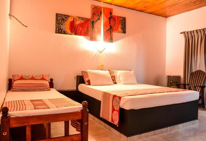 Family Suite, Apollo