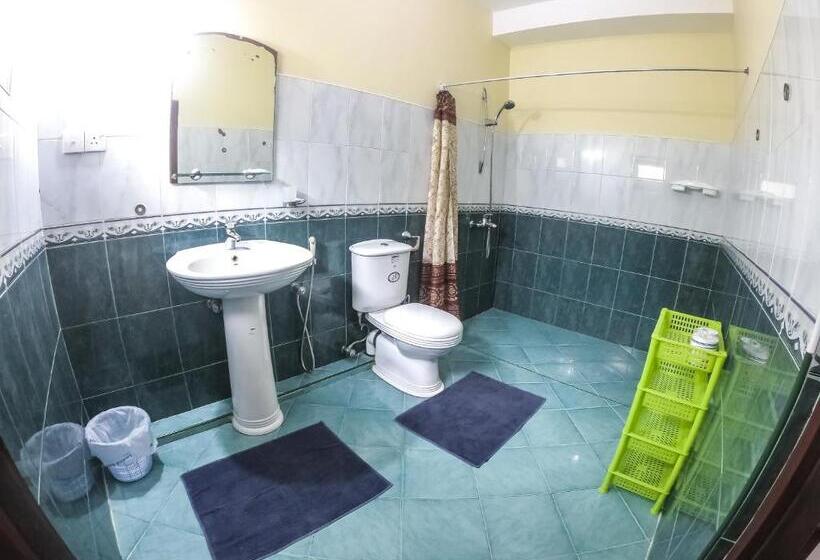 Family Suite, Apollo