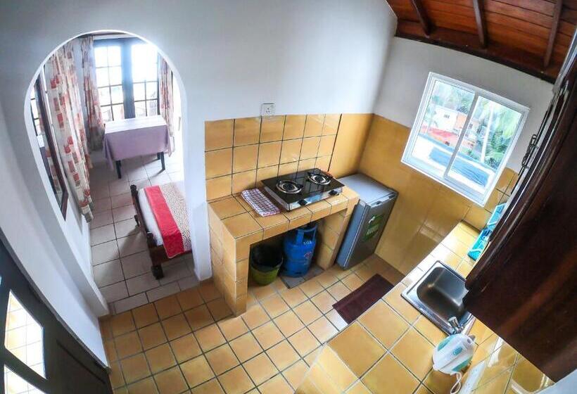 Апартаменты Deluxe 1 Спальня Вид на Море, Apollo