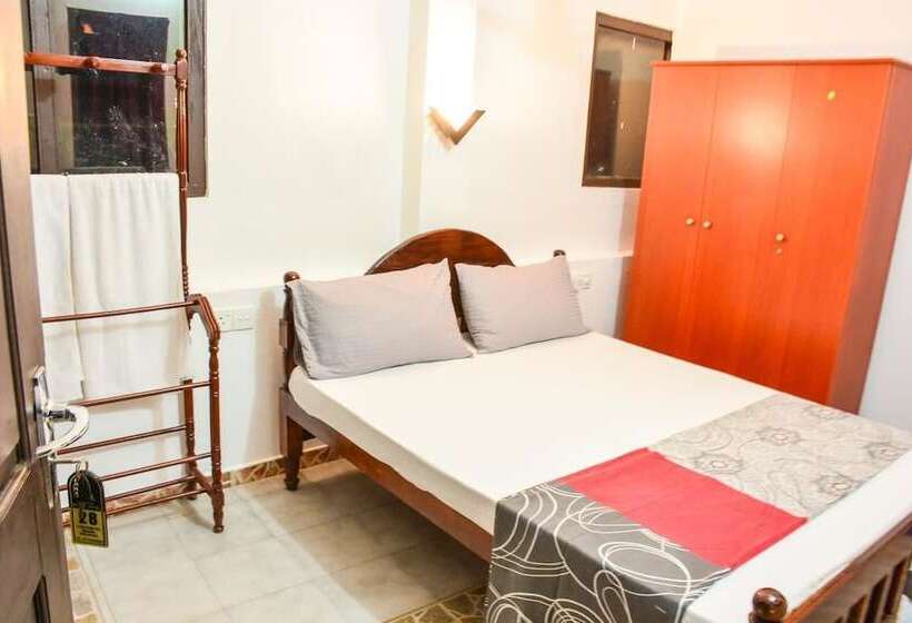 Номер Стандарт, Apollo