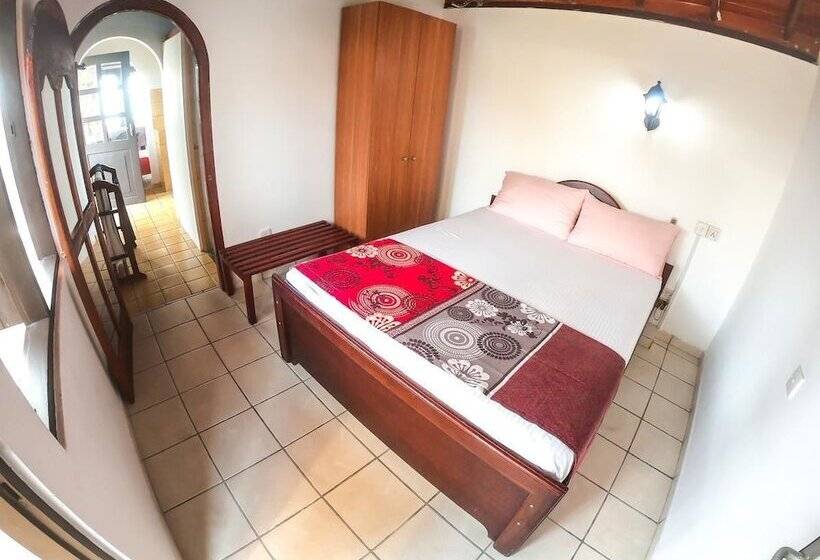 Номер Стандарт, Apollo