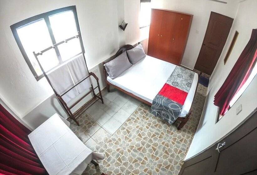 Номер Стандарт, Apollo