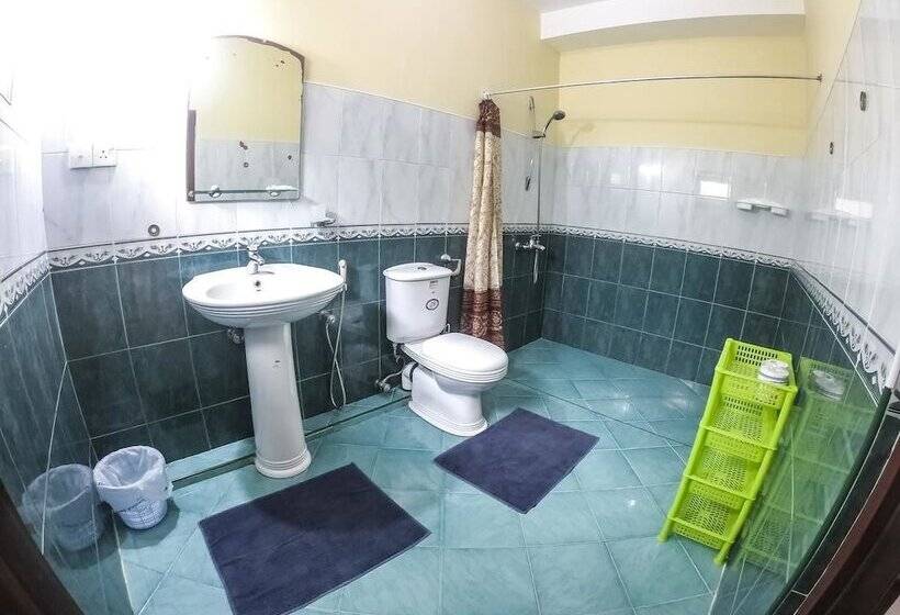 Номер Стандарт, Apollo