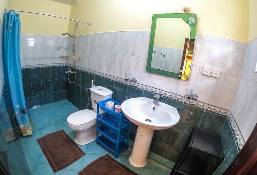 Номер Стандарт, Apollo