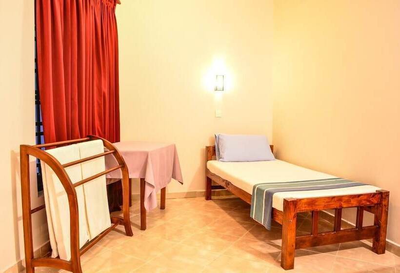 Номер Стандарт, Apollo