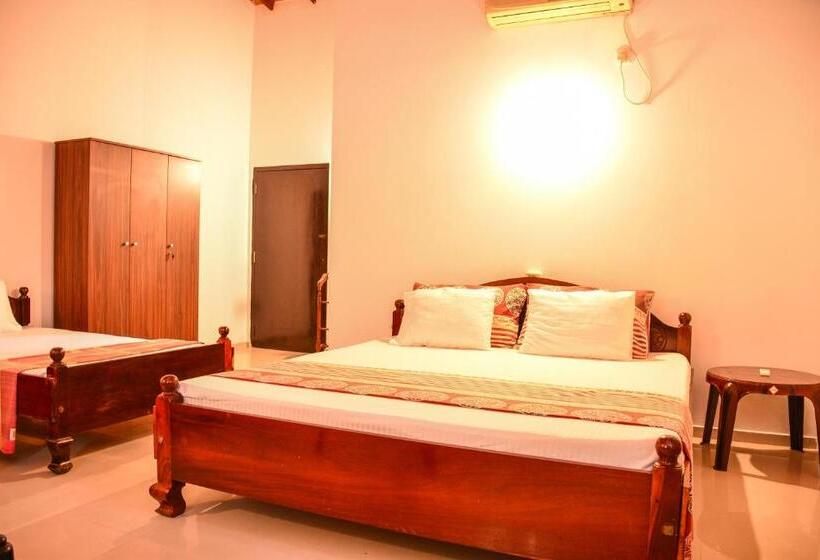 Номер Стандарт Трехместный, Apollo