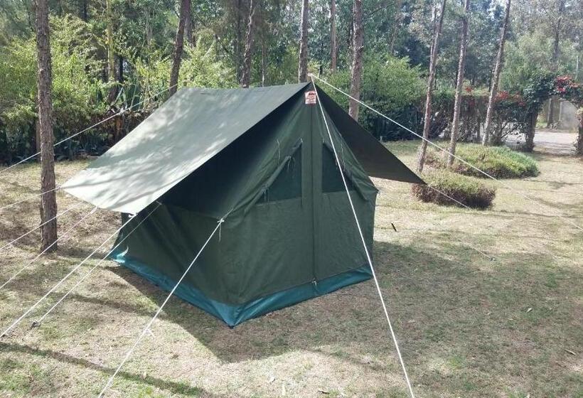 چادر با خدمات رفاهی استاندارد, Triple Eden Resort Naivasha