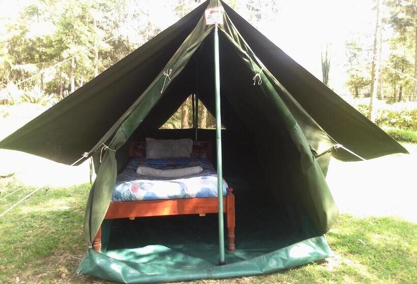 چادر با خدمات رفاهی استاندارد, Triple Eden Resort   Naivasha