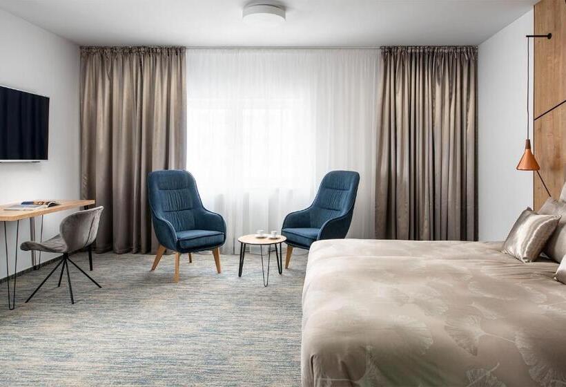 高级大房间, Osvit