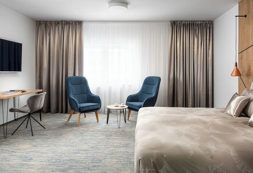 高级大房间, Osvit