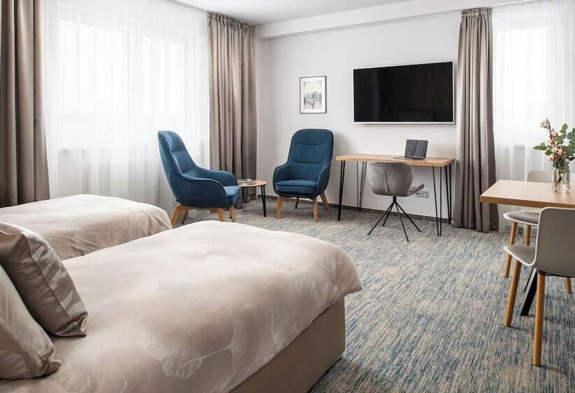 高级大房间, Osvit