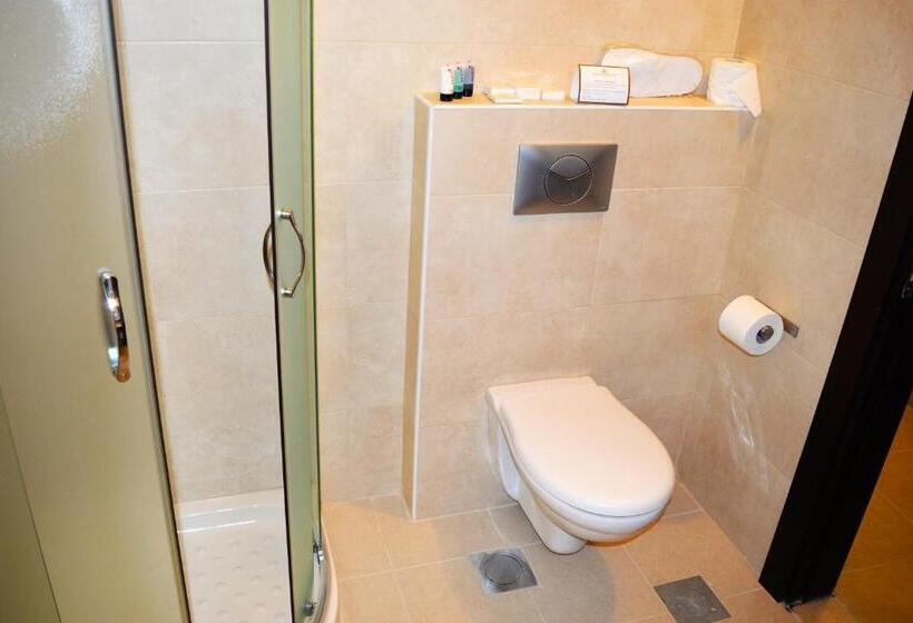 اتاق استاندارد, Taybeh Golden