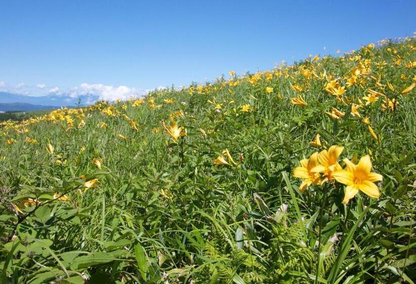 Quarto standart com varanda, Andermatt