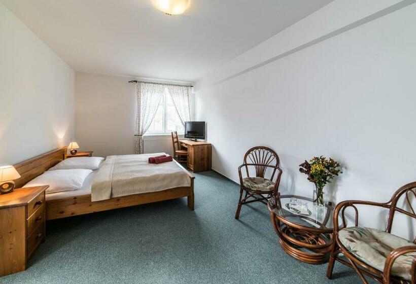 اتاق استاندارد, Valašský Hotel A Pivní Lázně Ogar