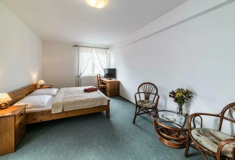 اتاق استاندارد, Valašský Hotel A Pivní Lázně Ogar