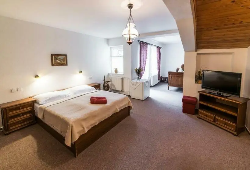 اتاق استاندارد, Valašský Hotel A Pivní Lázně Ogar