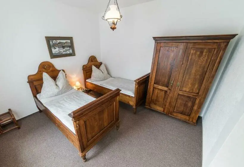 اتاق استاندارد, Valašský Hotel A Pivní Lázně Ogar
