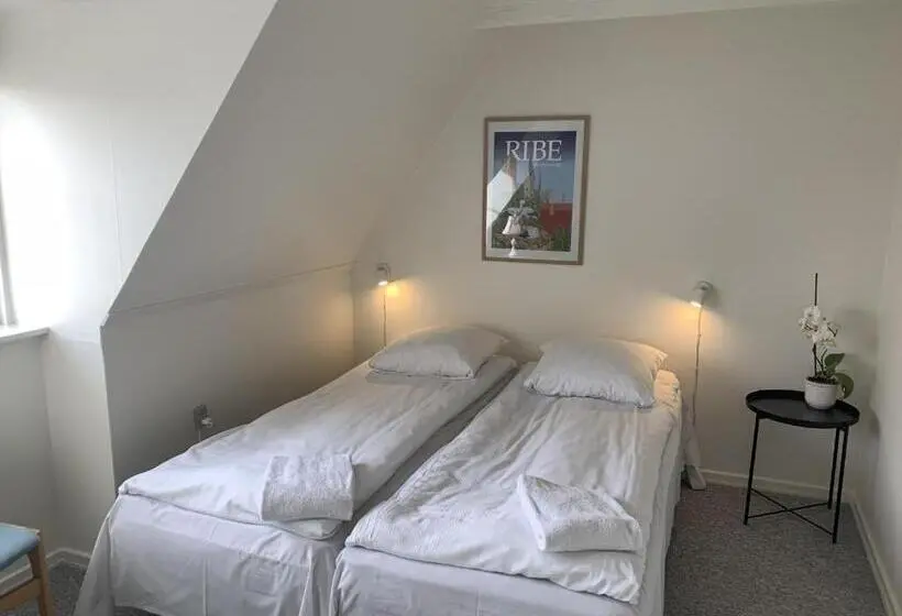 Camera Standard, Den Gamle Arrest