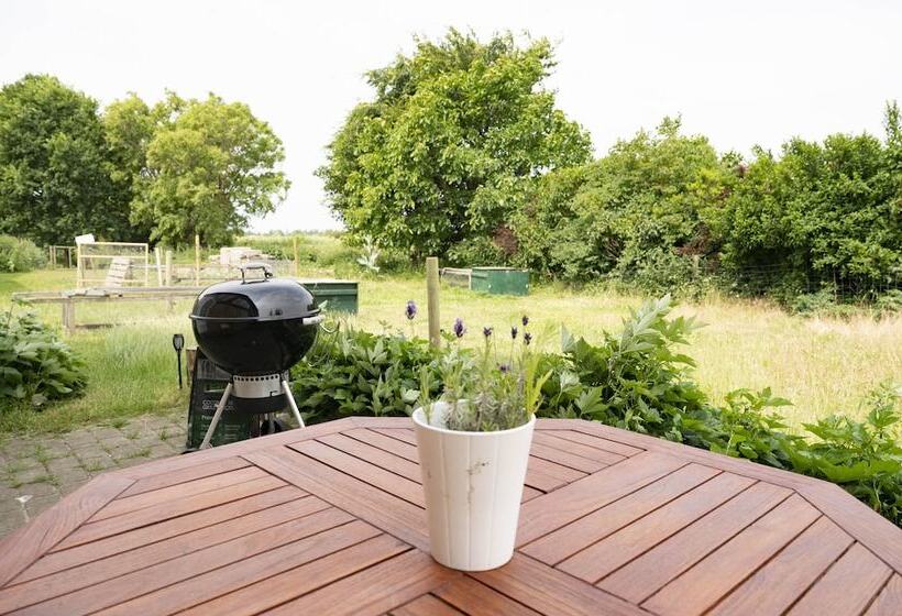 Люкс, Skortskær Bondegårdsferie