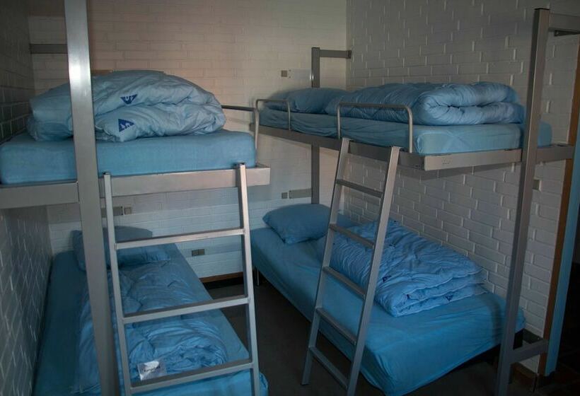 اتاق استاندارد چهار تخته, Danhostel Helsingør