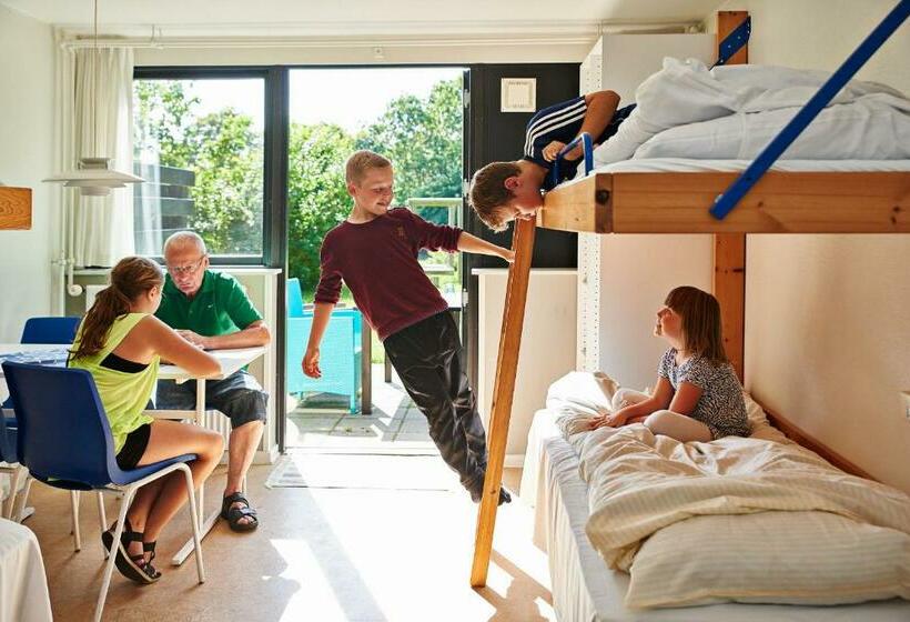 غرفة قياسية رباعية, Danhostel Viborg