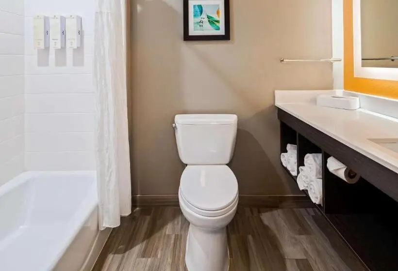 اتاق استاندارد, Best Western Plus Pasadena Inn And Suites