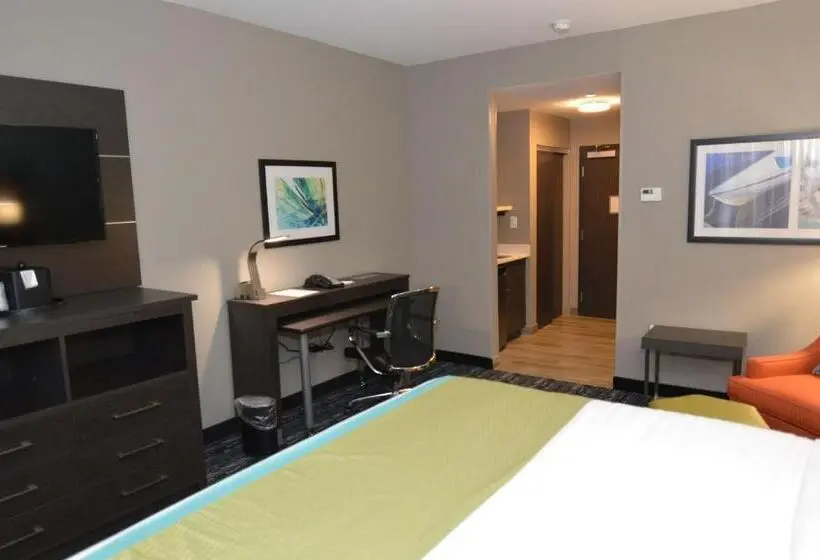 اتاق استاندارد با تخت بزرگ برای معلولان, Best Western Plus Pasadena Inn And Suites