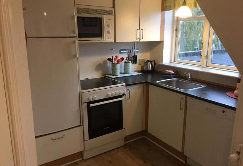 四人标准间, Oasen